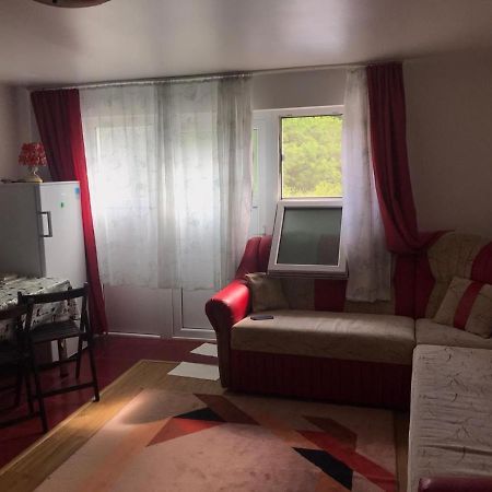 Garsoniera Lazaroiu Apartman Băile Govora Kültér fotó