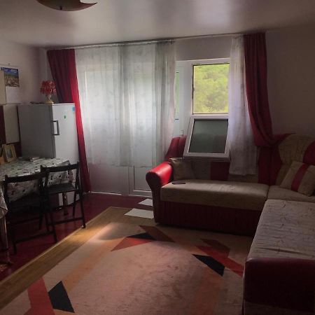 Garsoniera Lazaroiu Apartman Băile Govora Kültér fotó