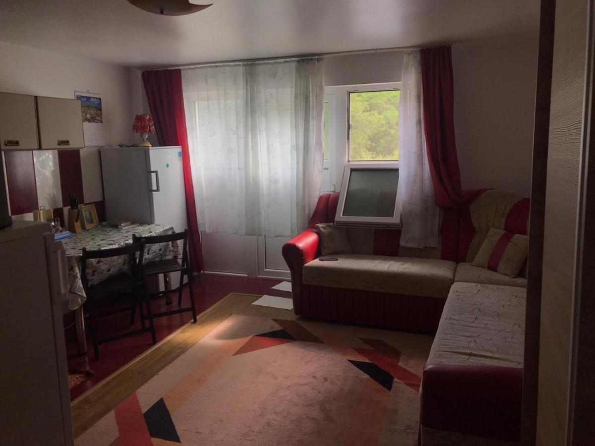 Garsoniera Lazaroiu Apartman Băile Govora Kültér fotó